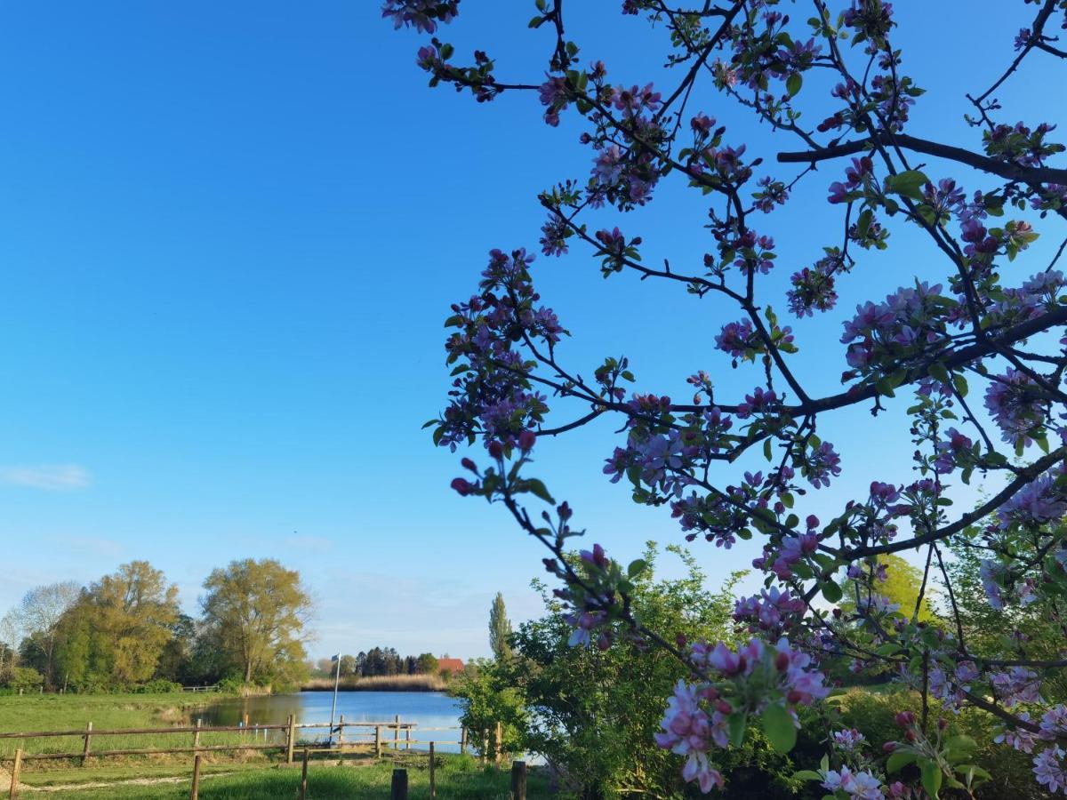 Stedinger Landhotel & Cafe Berne ภายนอก รูปภาพ